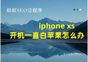 iphone xs开机一直白苹果怎么办