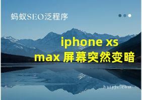 iphone xs max 屏幕突然变暗