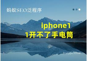 iphone11开不了手电筒