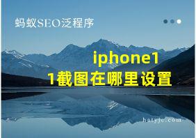 iphone11截图在哪里设置