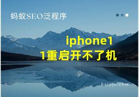 iphone11重启开不了机