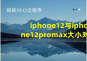 iphone12与iphone12promax大小对比