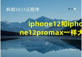 iphone12和iphone12promax一样大吗