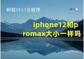 iphone12和promax大小一样吗