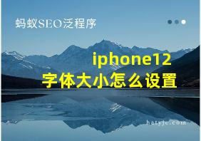 iphone12字体大小怎么设置