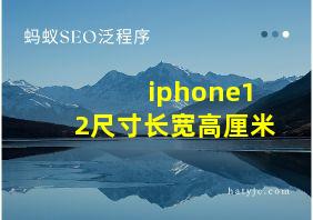 iphone12尺寸长宽高厘米