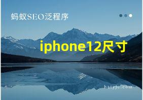 iphone12尺寸