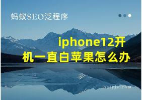 iphone12开机一直白苹果怎么办