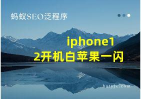 iphone12开机白苹果一闪