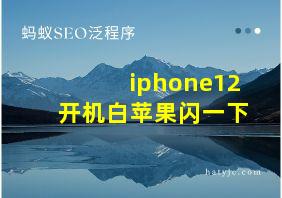 iphone12开机白苹果闪一下