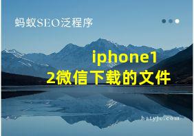 iphone12微信下载的文件