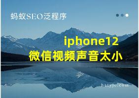 iphone12微信视频声音太小