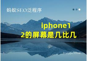 iphone12的屏幕是几比几