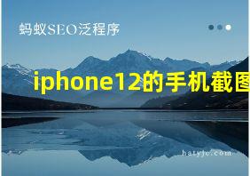 iphone12的手机截图