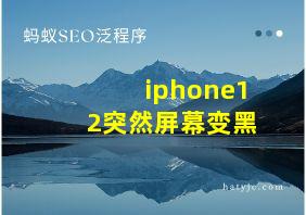 iphone12突然屏幕变黑