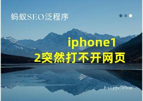 iphone12突然打不开网页