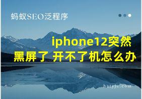 iphone12突然黑屏了 开不了机怎么办