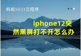 iphone12突然黑屏打不开怎么办