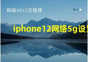 iphone12网络5g设置