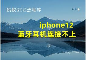 iphone12蓝牙耳机连接不上