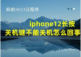 iphone12长按关机键不能关机怎么回事