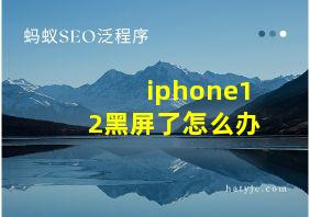 iphone12黑屏了怎么办