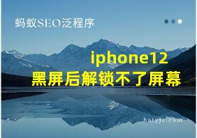 iphone12黑屏后解锁不了屏幕