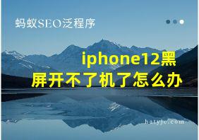 iphone12黑屏开不了机了怎么办