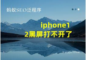 iphone12黑屏打不开了