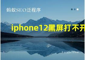 iphone12黑屏打不开