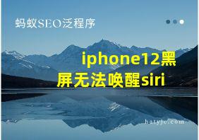 iphone12黑屏无法唤醒siri