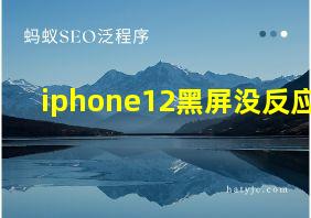 iphone12黑屏没反应