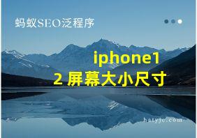 iphone12 屏幕大小尺寸