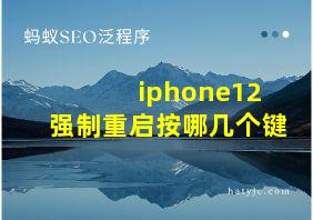 iphone12 强制重启按哪几个键