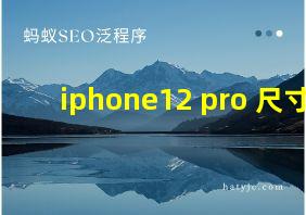 iphone12 pro 尺寸