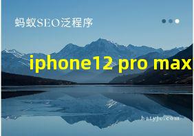 iphone12 pro max重启