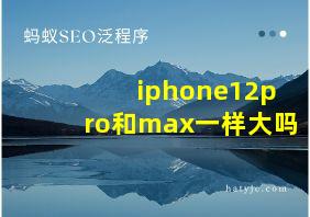 iphone12pro和max一样大吗