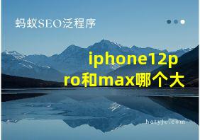 iphone12pro和max哪个大