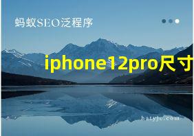 iphone12pro尺寸