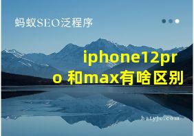 iphone12pro 和max有啥区别