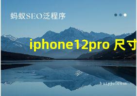 iphone12pro 尺寸