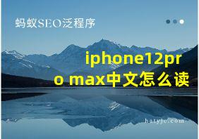 iphone12pro max中文怎么读