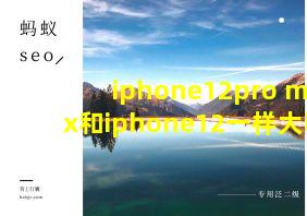 iphone12pro max和iphone12一样大吗