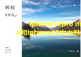 iphone12pro max和iphone12大小对比