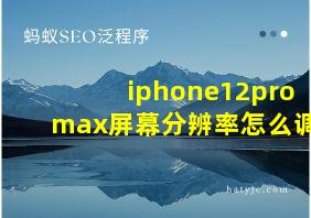 iphone12pro max屏幕分辨率怎么调