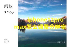 iphone12pro max怎么调整分辨率