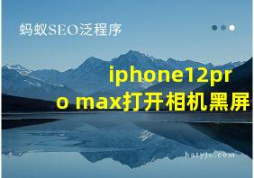 iphone12pro max打开相机黑屏