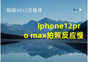 iphone12pro max拍照反应慢