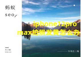 iphone12pro max拍照发黄怎么办