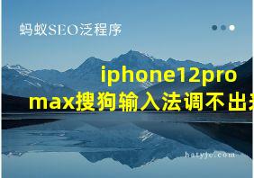 iphone12pro max搜狗输入法调不出来